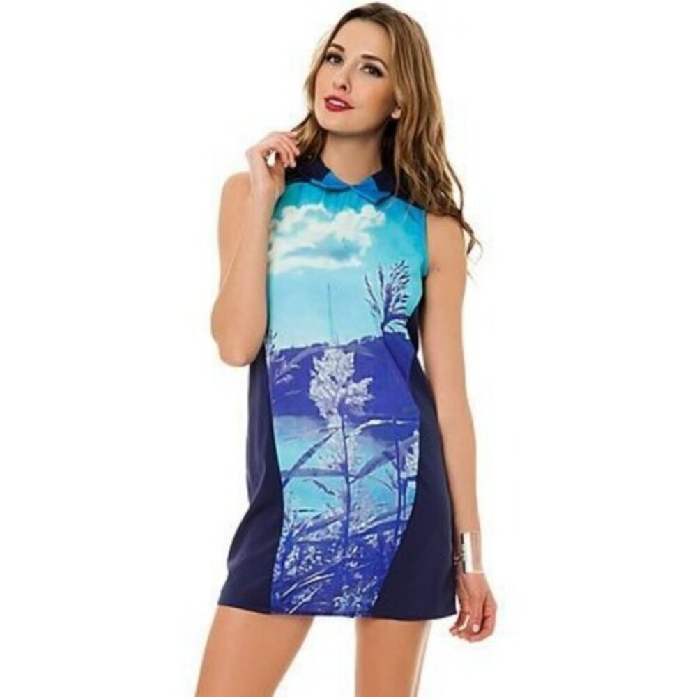 Finders Keepers December Song Shift Dress in Lake Tahoe Print